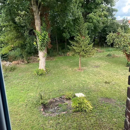 Amenaïde - 3* Roisel